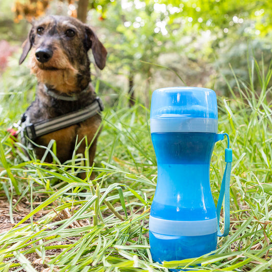 2 in 1 bottle with water and food container for pets