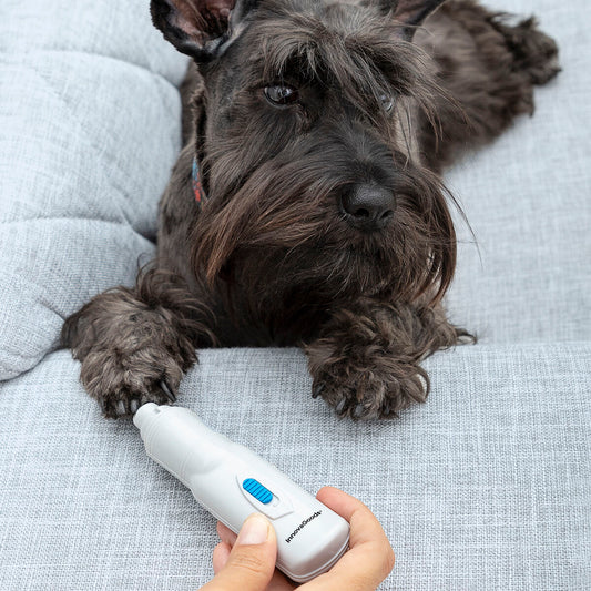 Electric Nail File for Pets