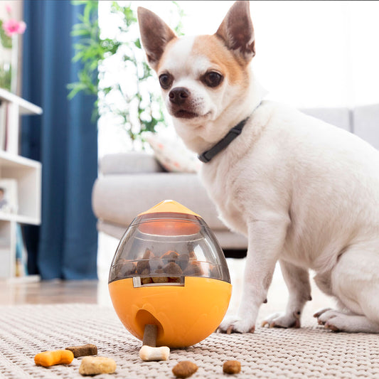 2 in 1 Pet Treat Dispenser Toy