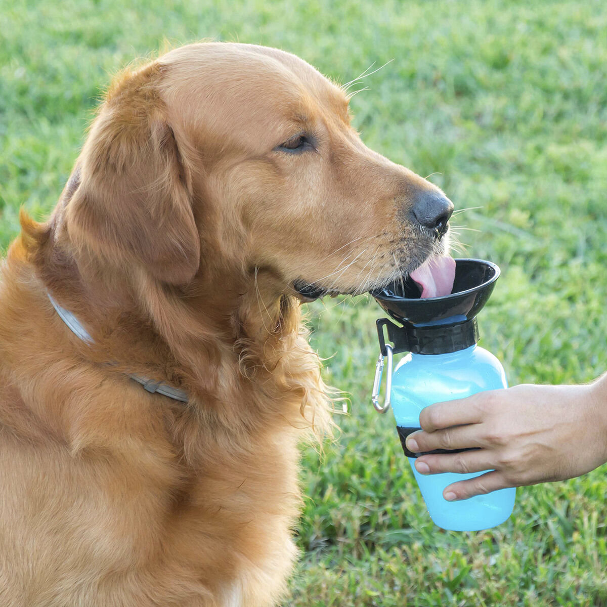 Hundetrinkflasche