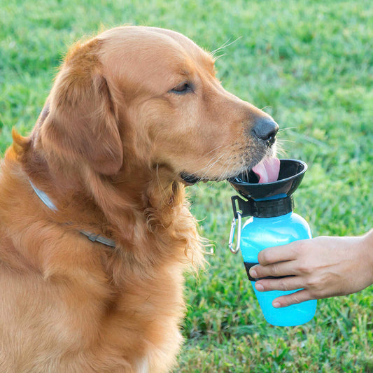 Hundetrinkflasche