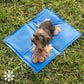 Cooling Mat for Pets (40 x 50 cm) 