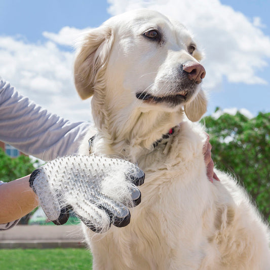 Bürsthandschuh für Haustiere