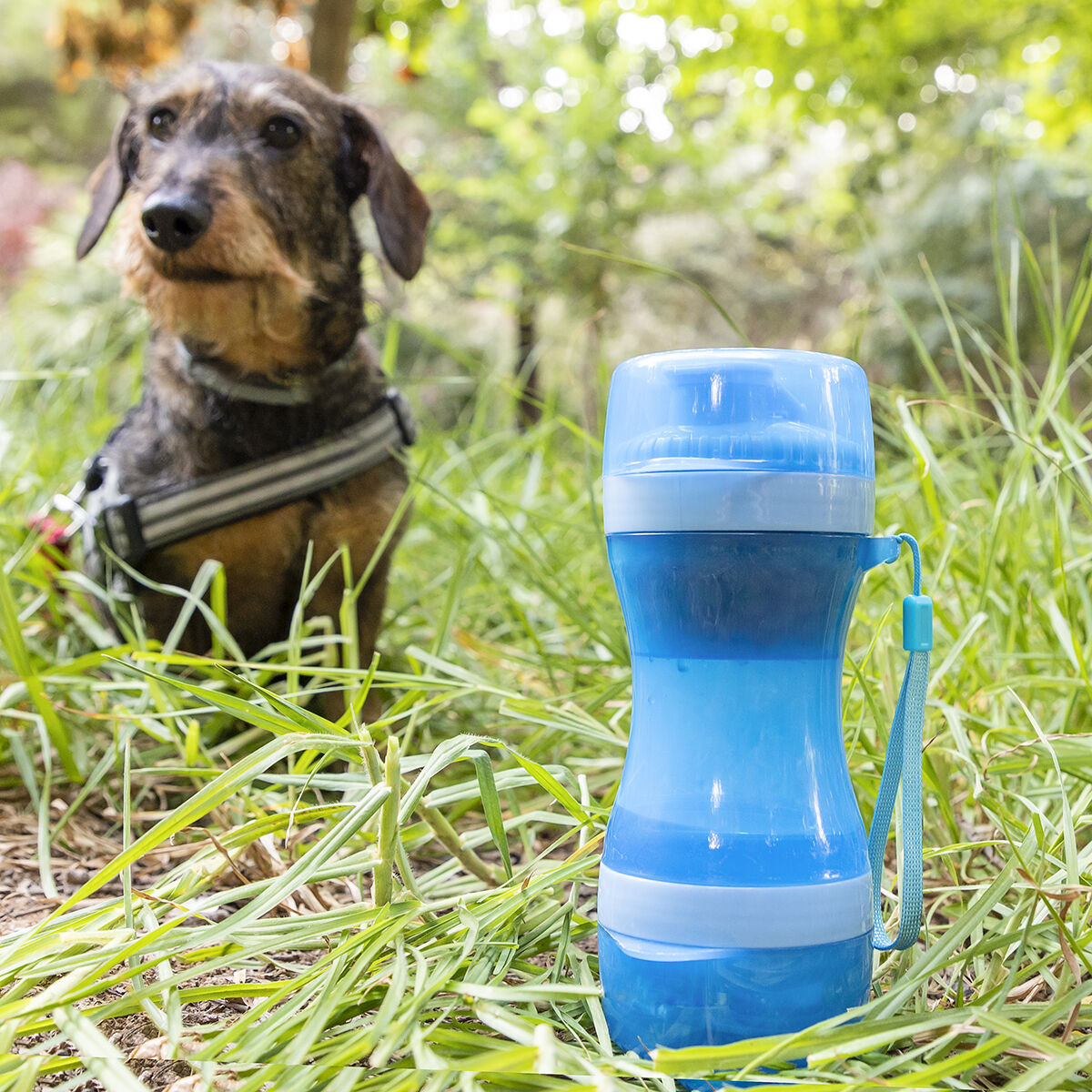 2 in 1 bottle with water and food container for pets 