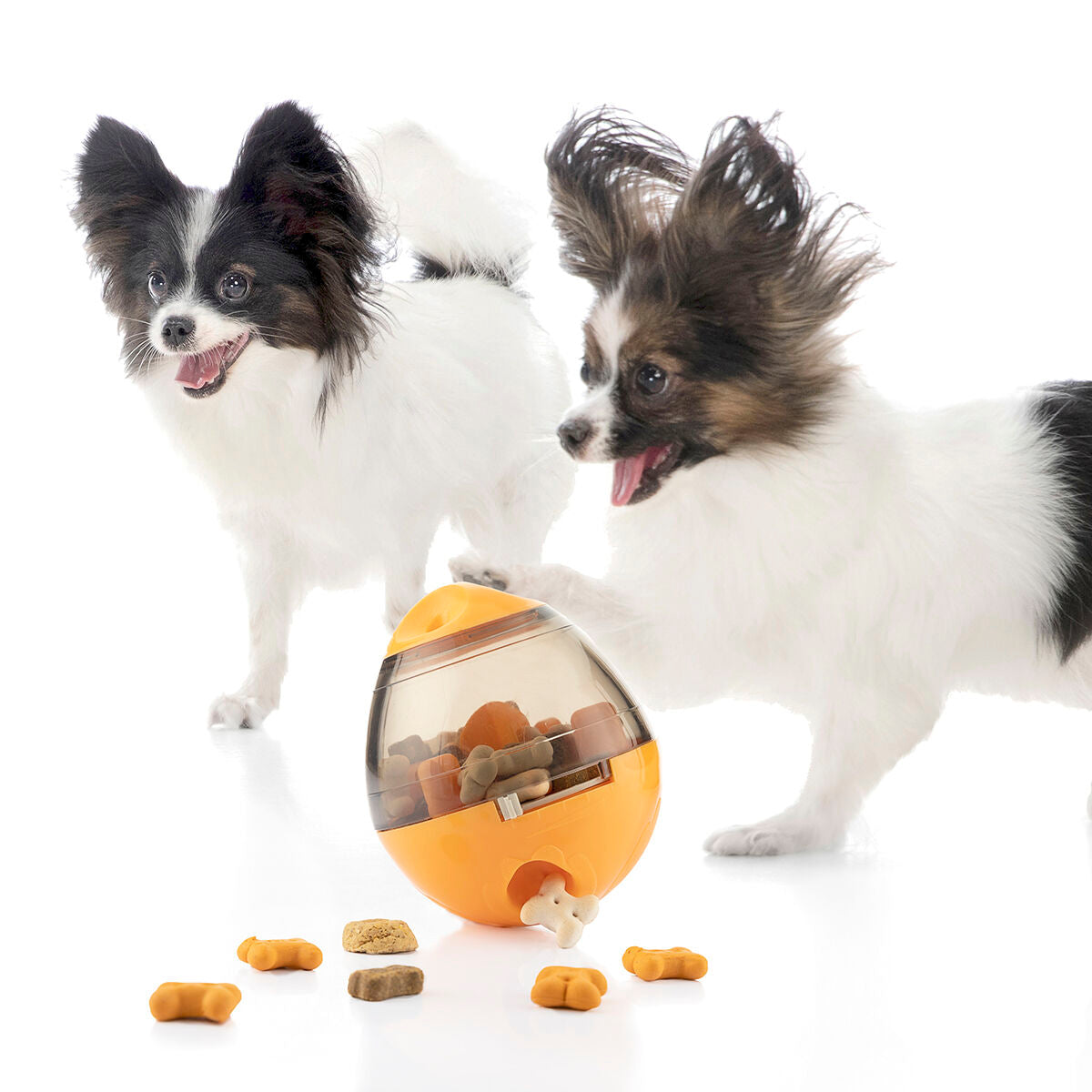 2 in 1 Pet Treat Dispenser Toy 
